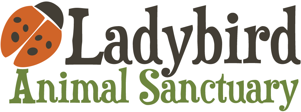 LOGO_ladybird LadyBird Animal Sanctuary